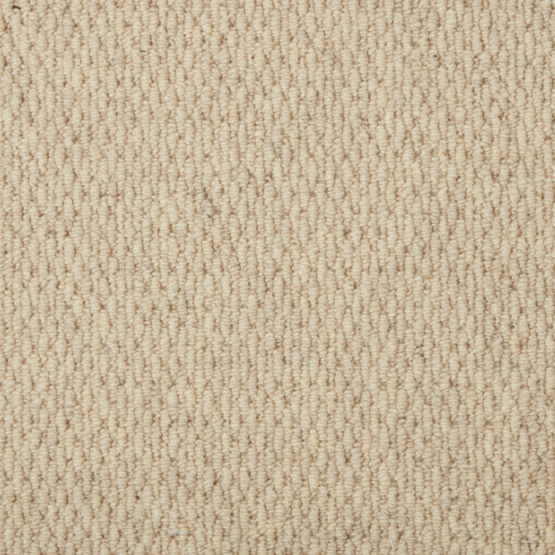 Casablanca Carpet