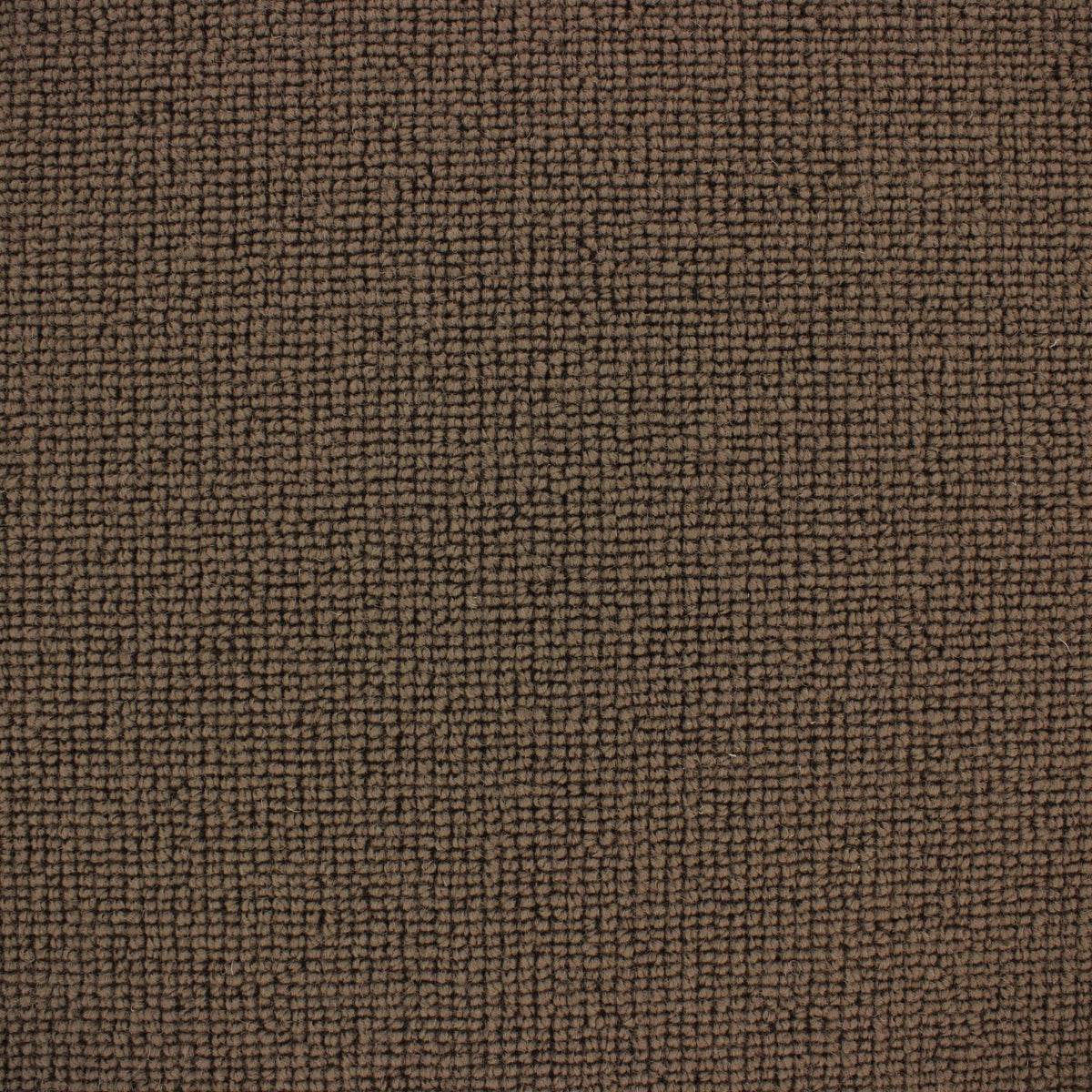 Siena Carpet