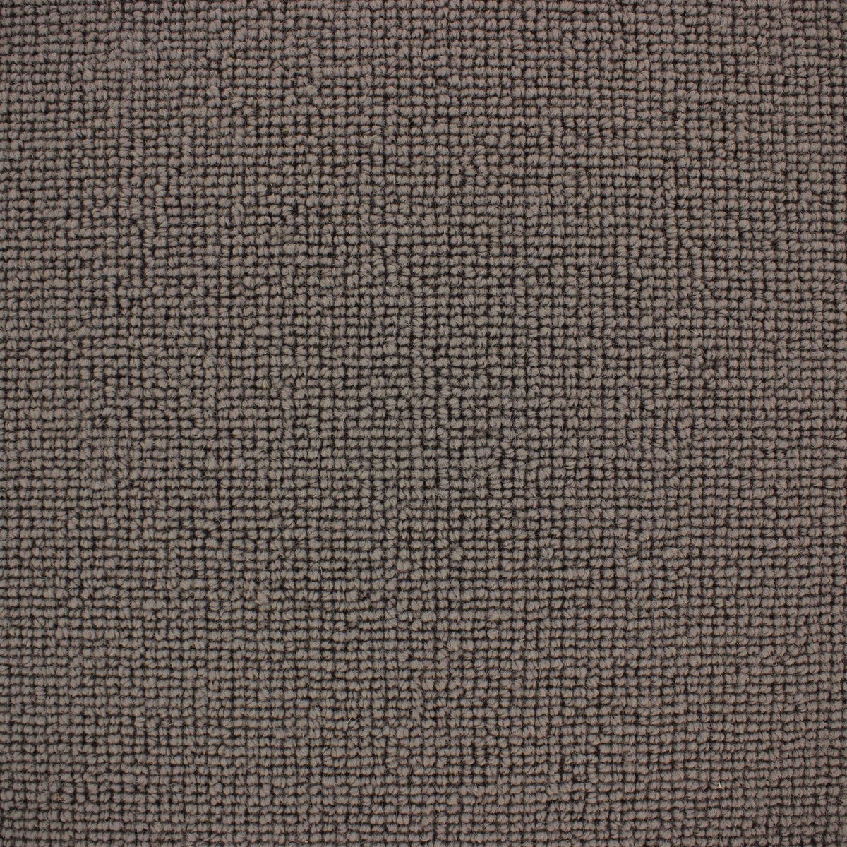 Siena Carpet