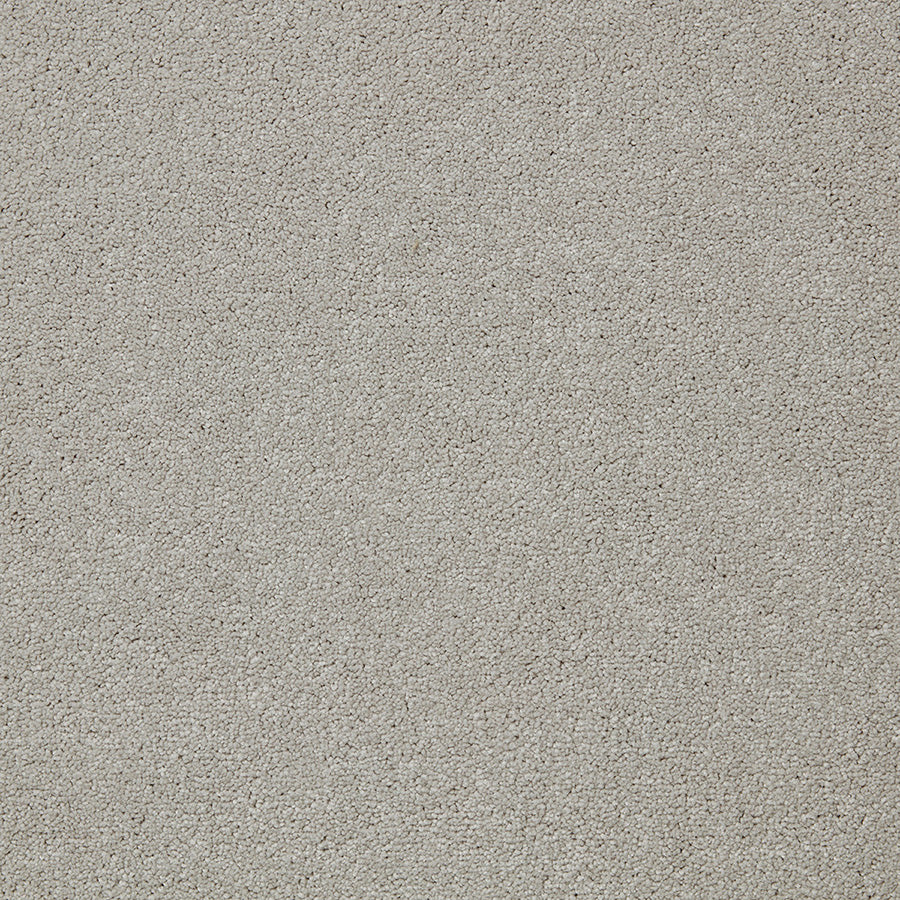 Easy Living Plus Carpet