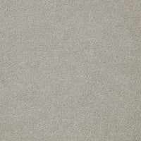 Easy Living Plus Carpet