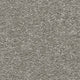 Brooklyn Carpet