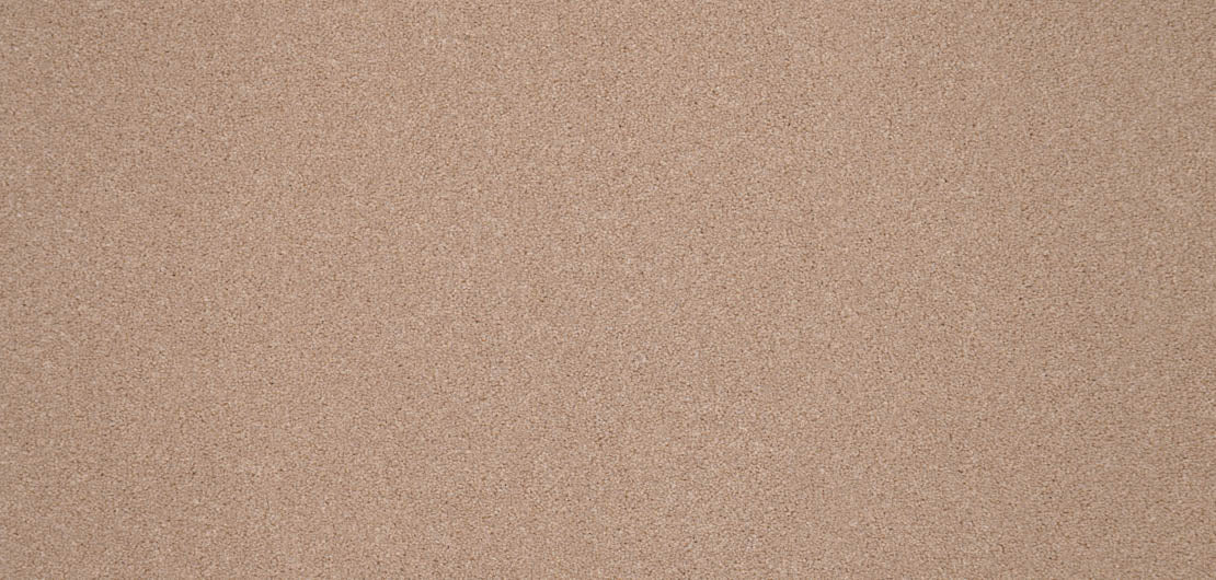 Elegance Carpet
