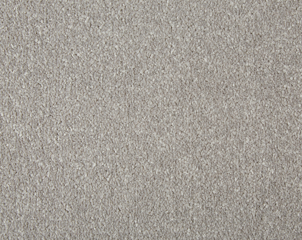 Easy Living Plus Carpet