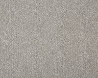 Easy Living Plus Carpet
