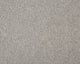 Easy Living Plus Carpet