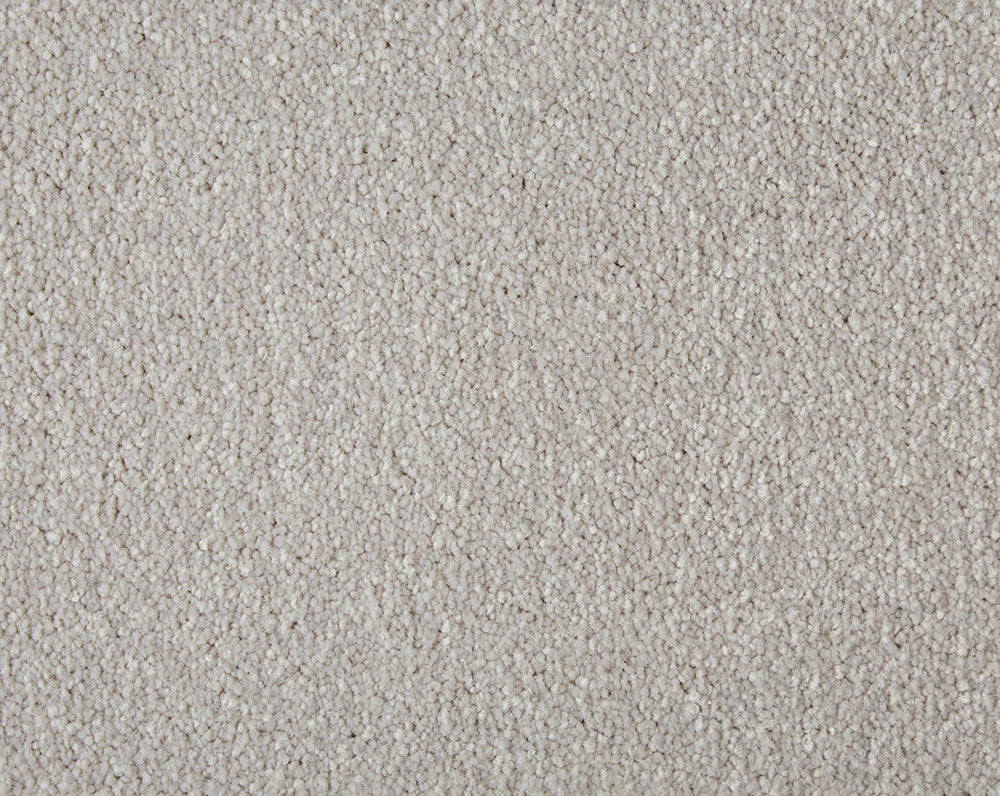 Easy Living Plus Carpet
