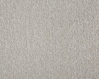 Easy Living Plus Carpet