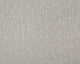 Easy Living Plus Carpet