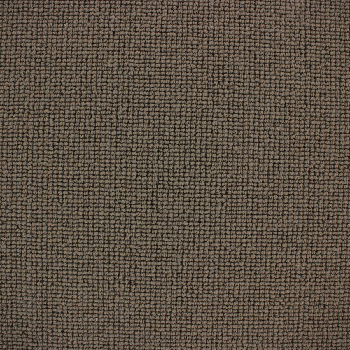 Siena Carpet