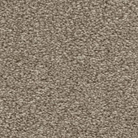 Brooklyn Carpet