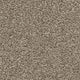 Brooklyn Carpet