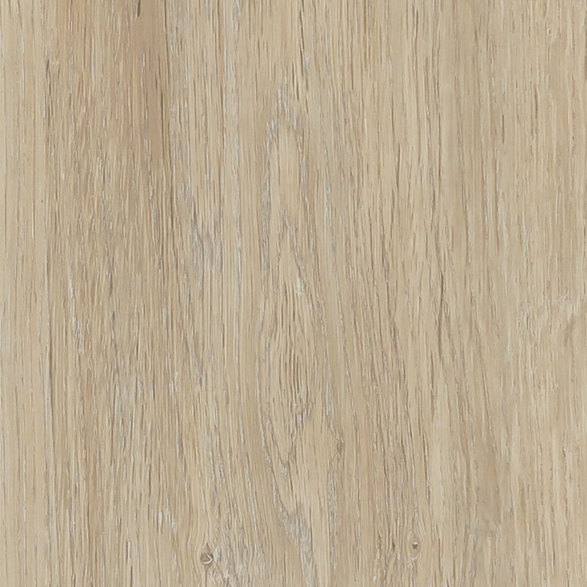 Conceptline LVT Flooring