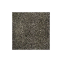 Harmony Carpet
