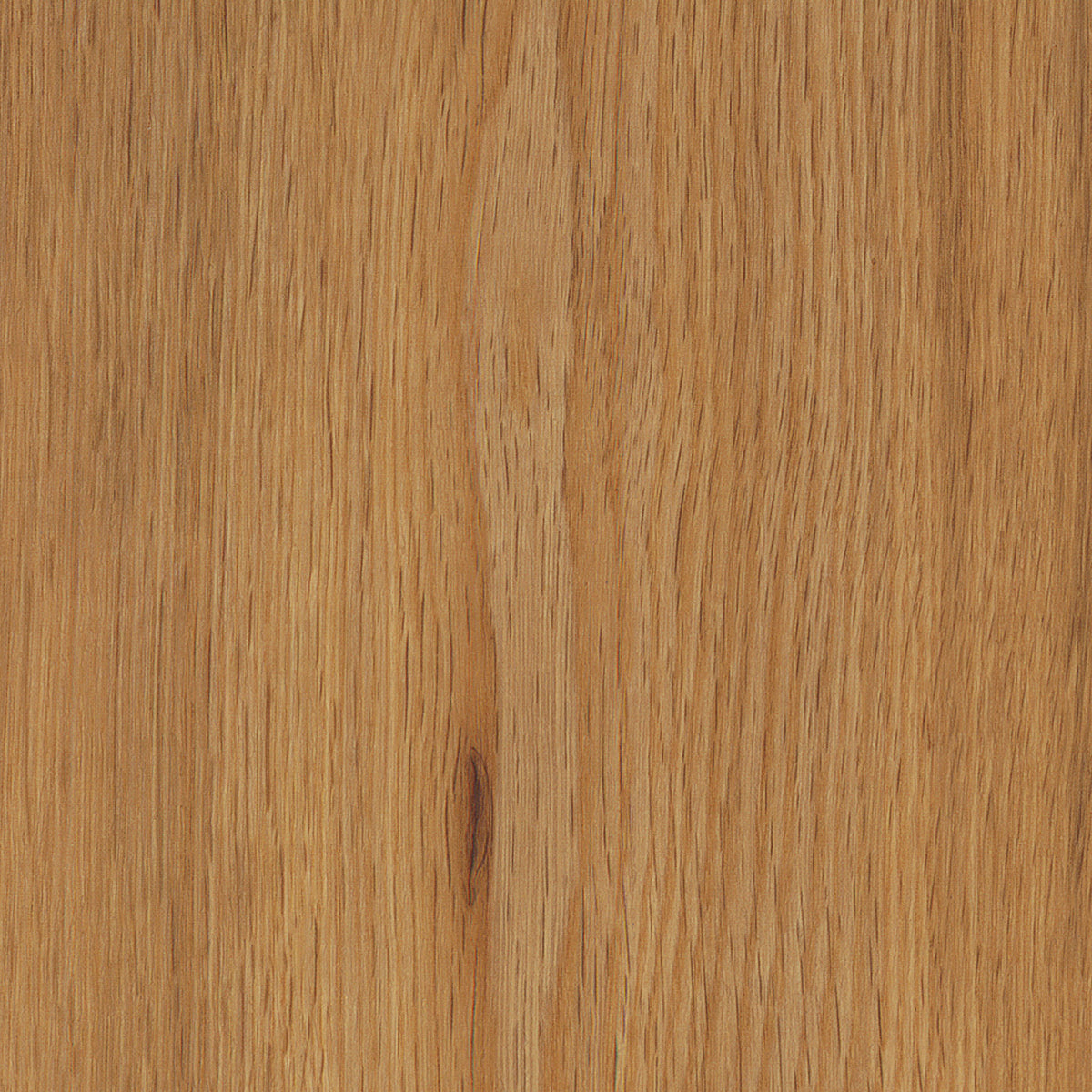 Conceptline LVT Flooring