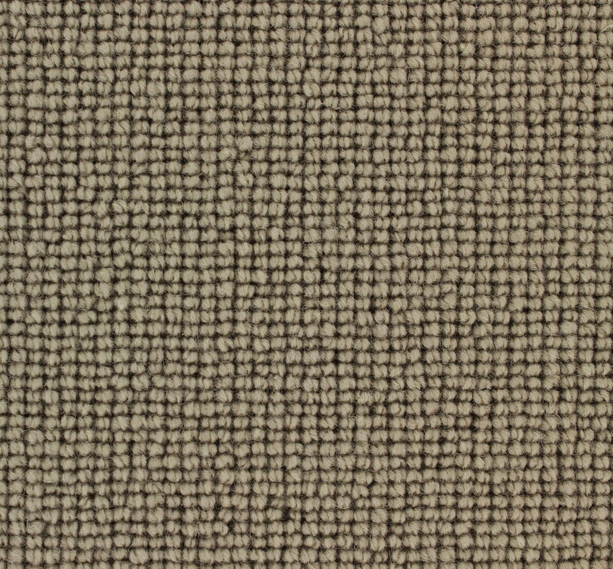 Siena Carpet