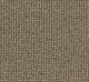 Siena Carpet