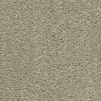 Brooklyn Carpet