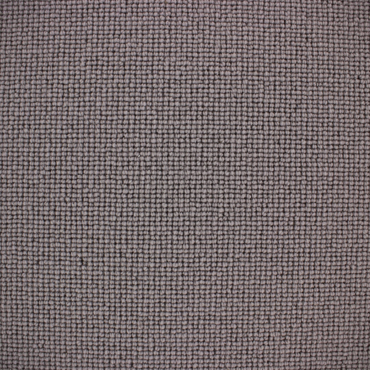 Siena Carpet