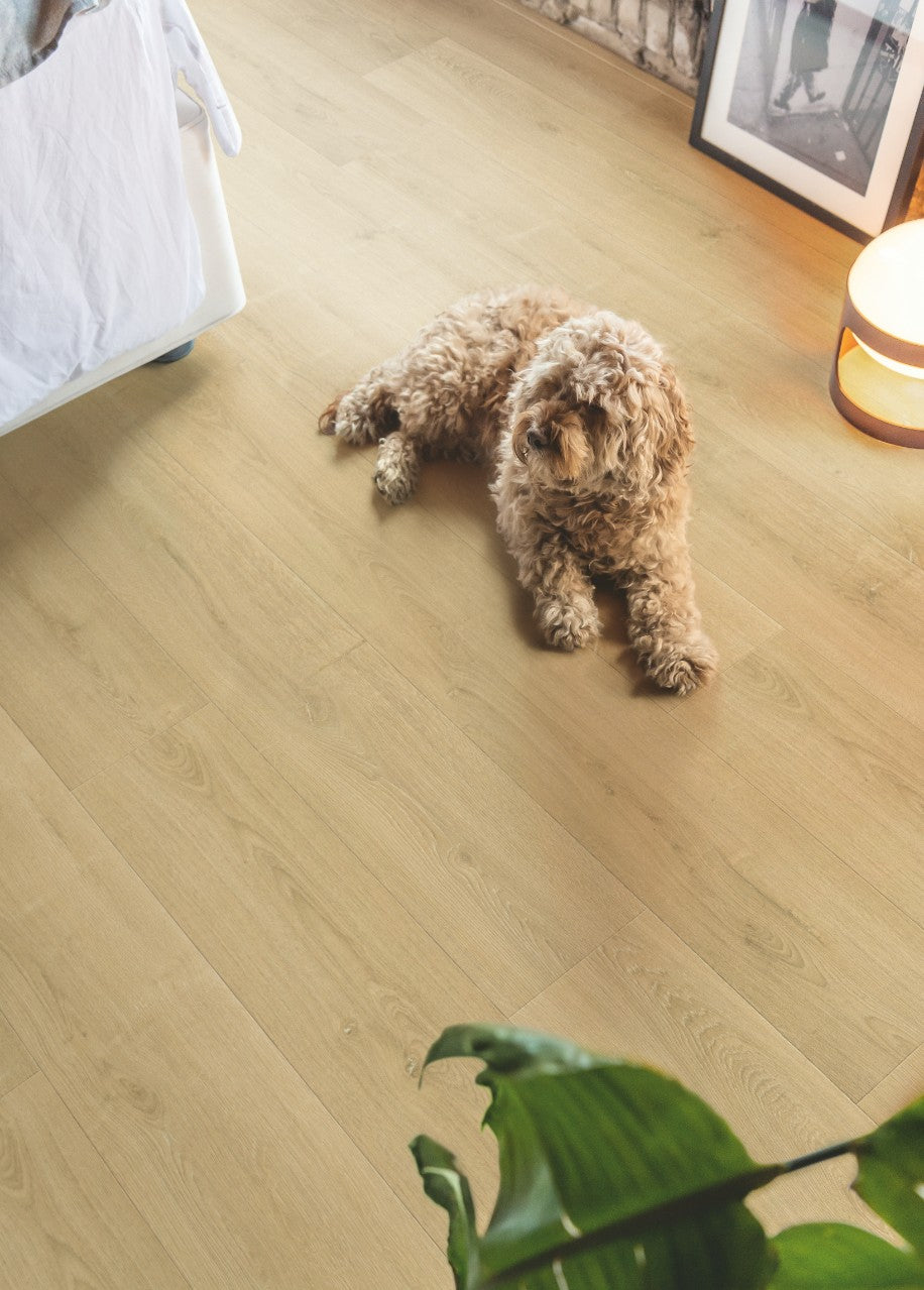 Quickstep Capture Laminate Flooring - Brushed Oak Natural