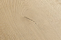 Quickstep Capture Laminate Flooring - Brushed Oak Natural