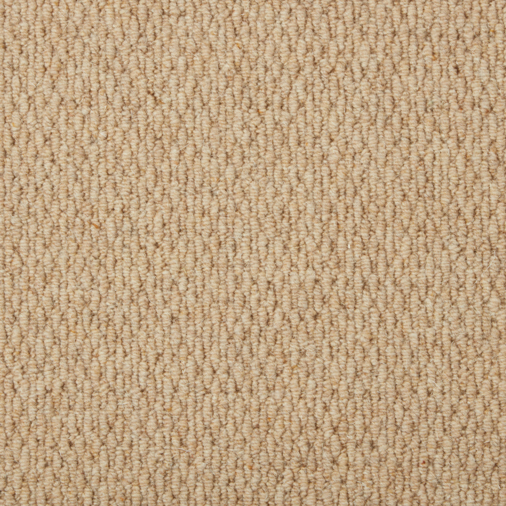 Casablanca Carpet