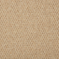 Casablanca Carpet