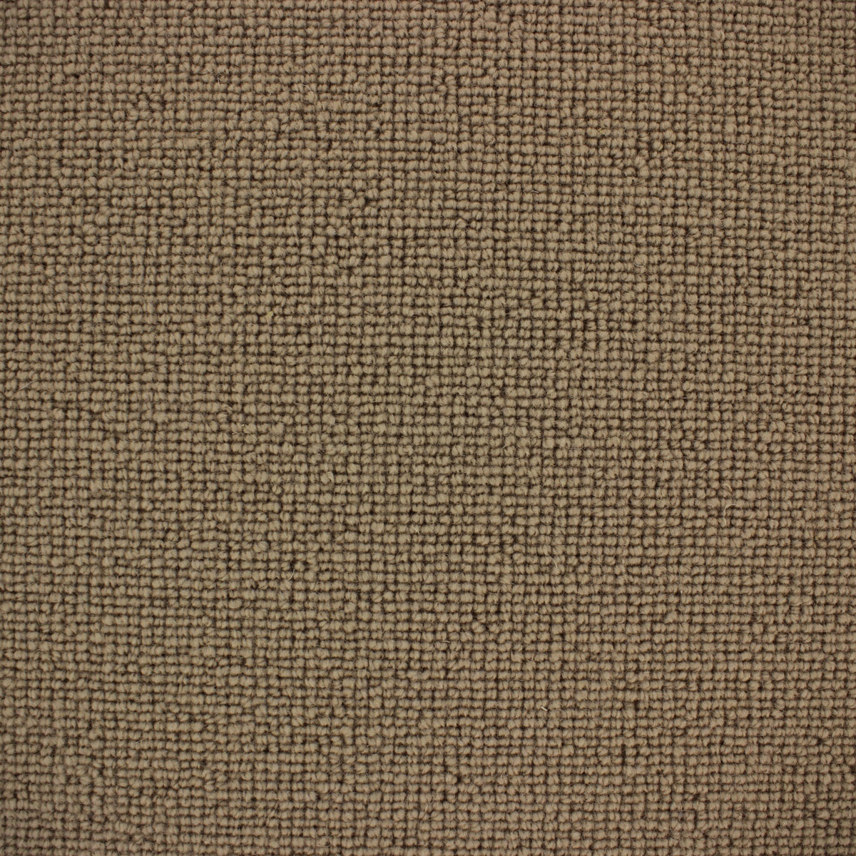 Siena Carpet