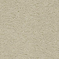 Brooklyn Carpet