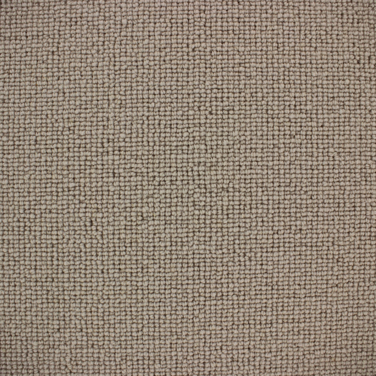 Siena Carpet