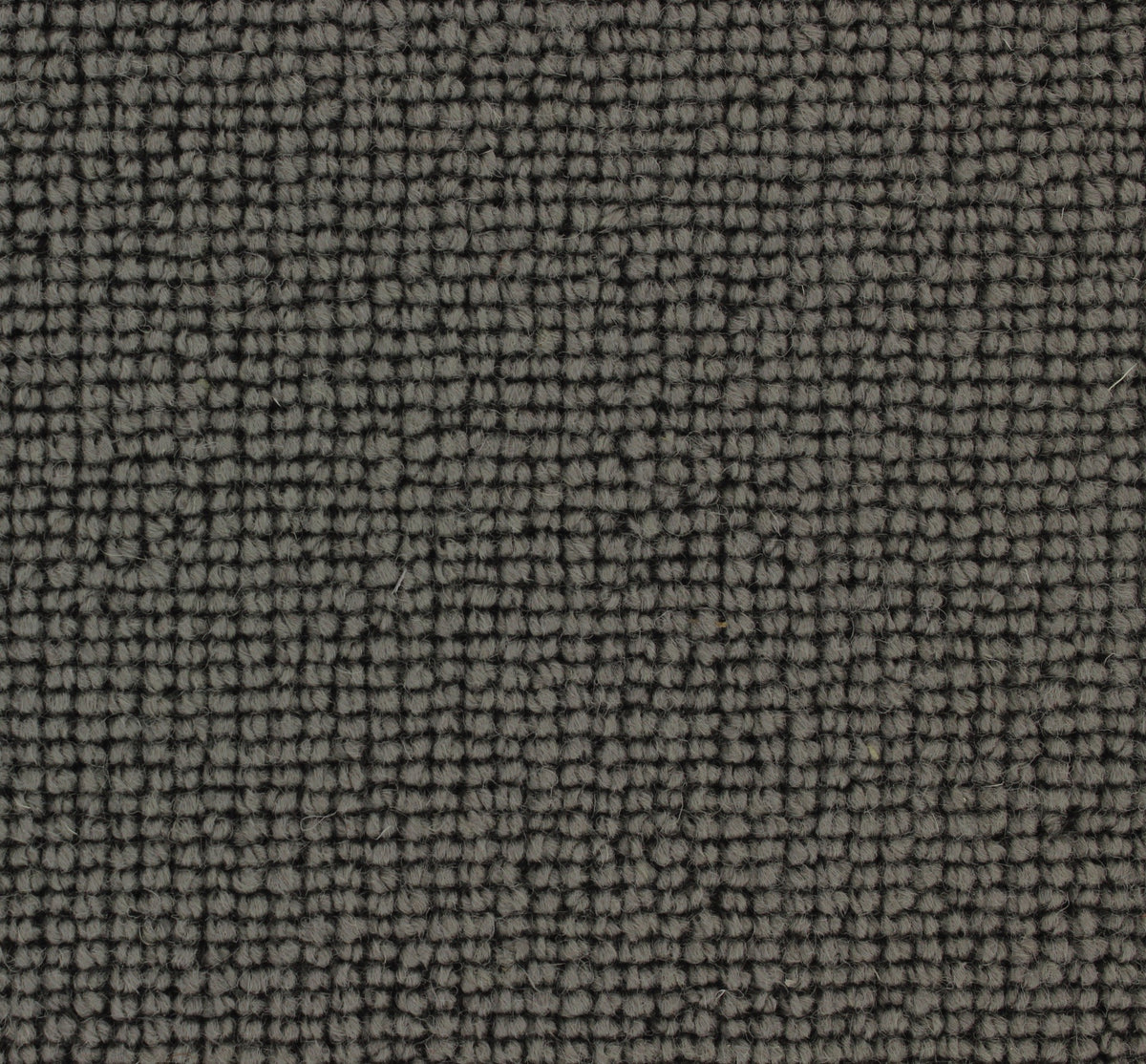 Siena Carpet