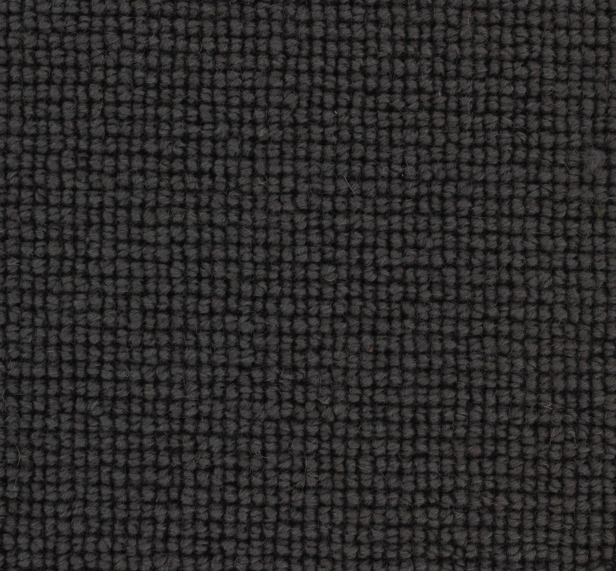 Siena Carpet