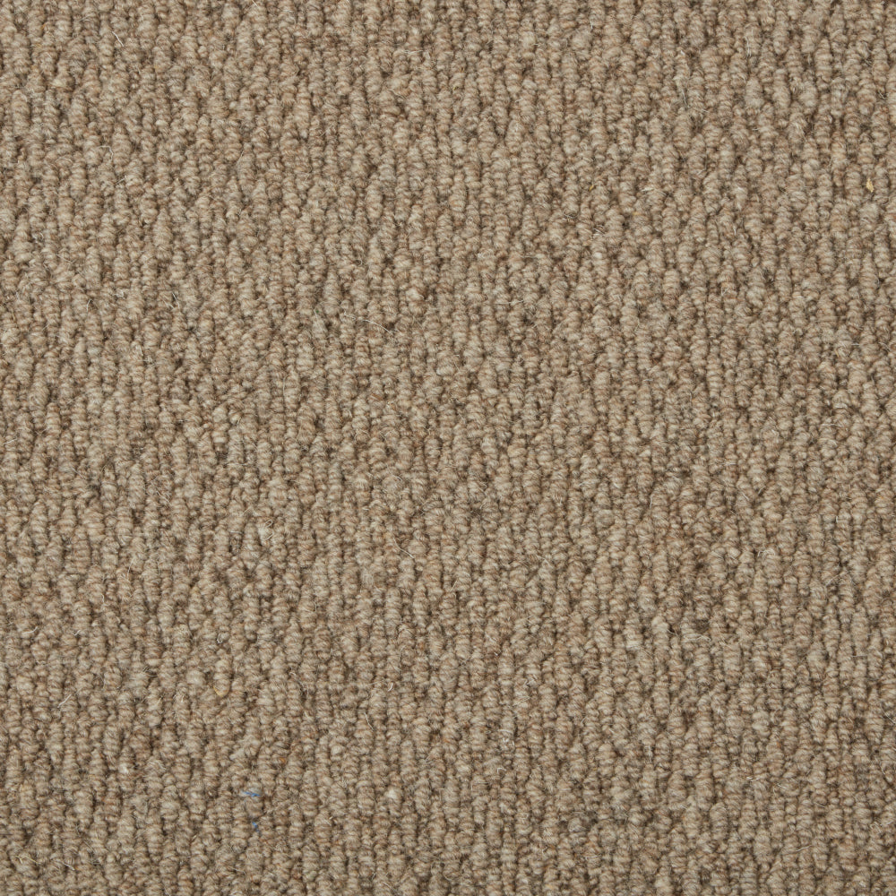 Casablanca Carpet