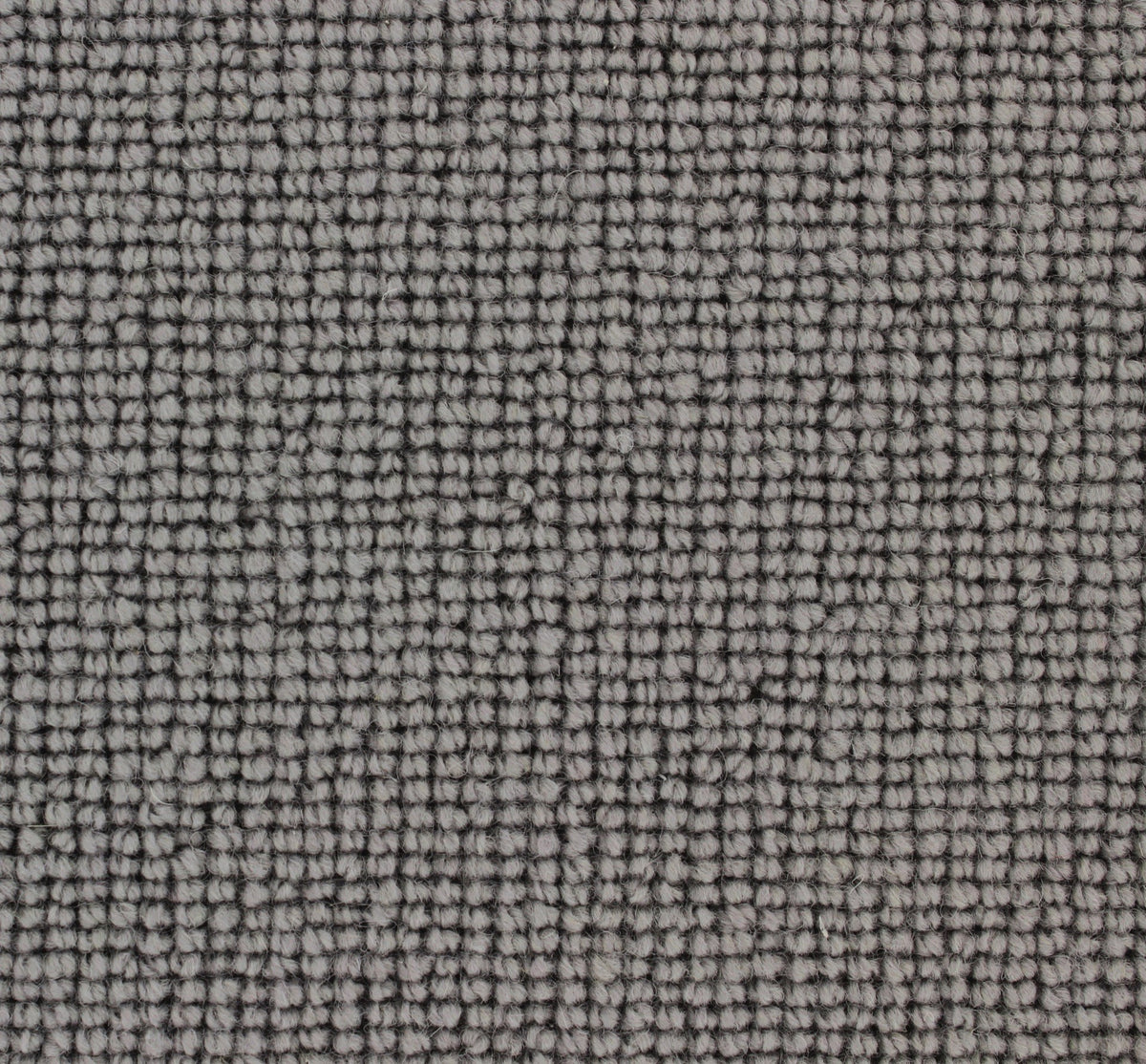 Siena Carpet