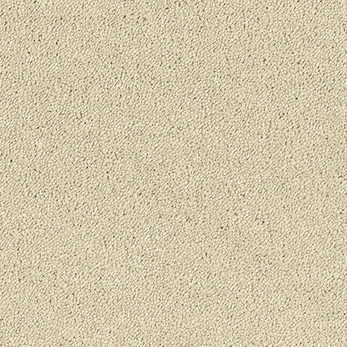 Smart Diva Carpet