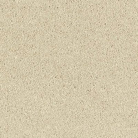 Smart Diva Carpet