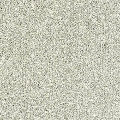 Smart Diva Carpet
