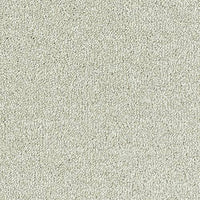 Smart Diva Carpet