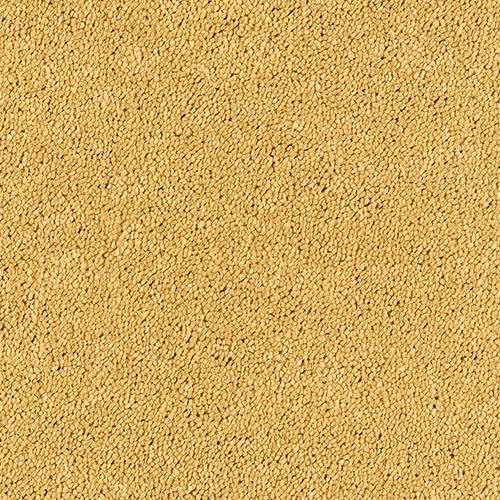 Smart Diva Carpet
