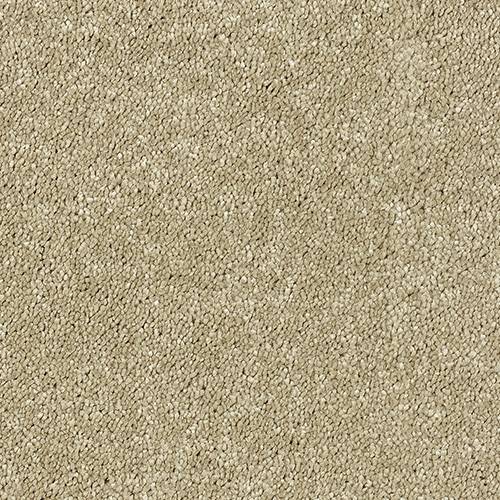 Smart Diva Carpet
