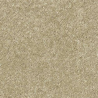 Smart Diva Carpet