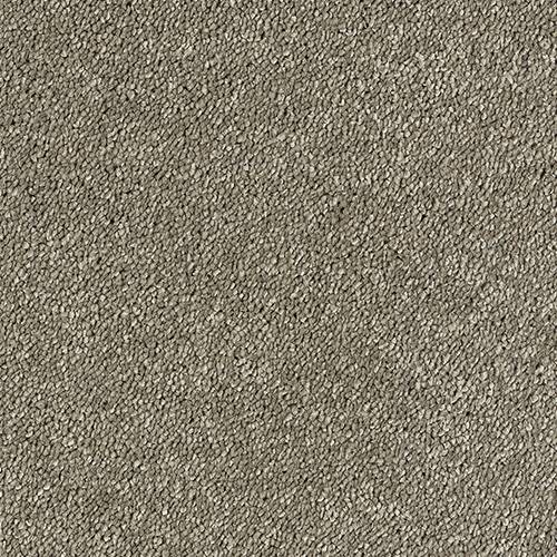 Smart Diva Carpet