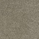 Smart Diva Carpet