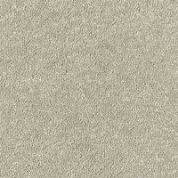 Smart Diva Carpet