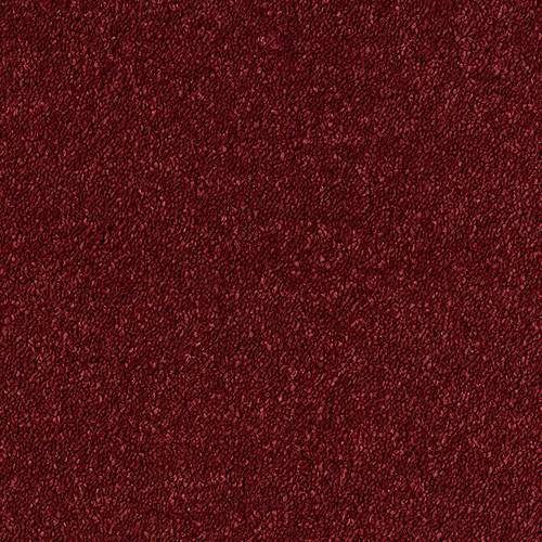 Smart Diva Carpet