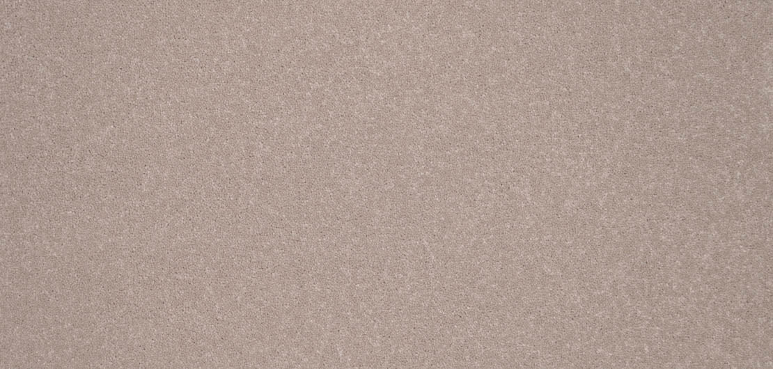Elegance Carpet