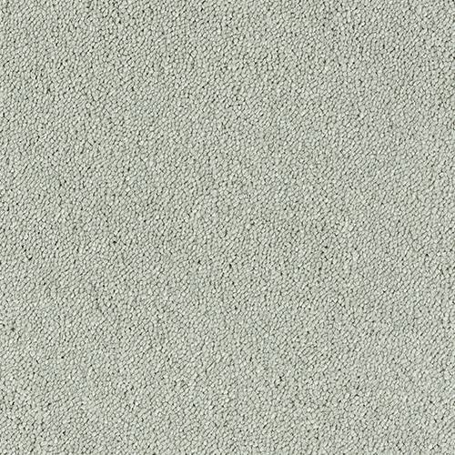 Smart Diva Carpet