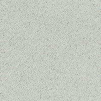 Smart Diva Carpet