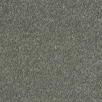 Smart Diva Carpet