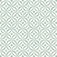 Aspire Vinyl Flooring Collection